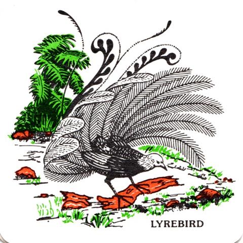 unbekannt ----- tiere quad 3b (180-lyrebird) 